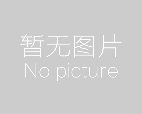 公司簡介